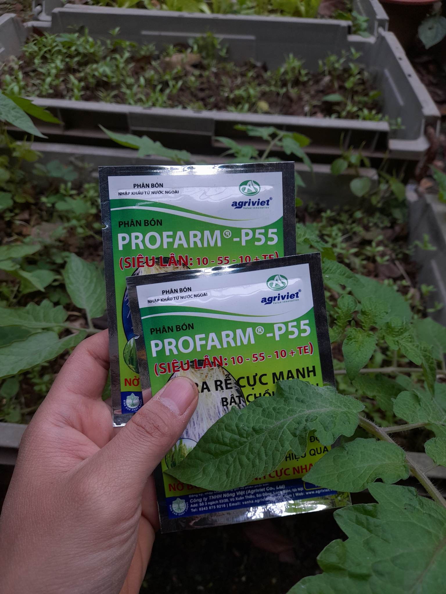 Phân Bón PROFARM kích thích cây tạo rễ