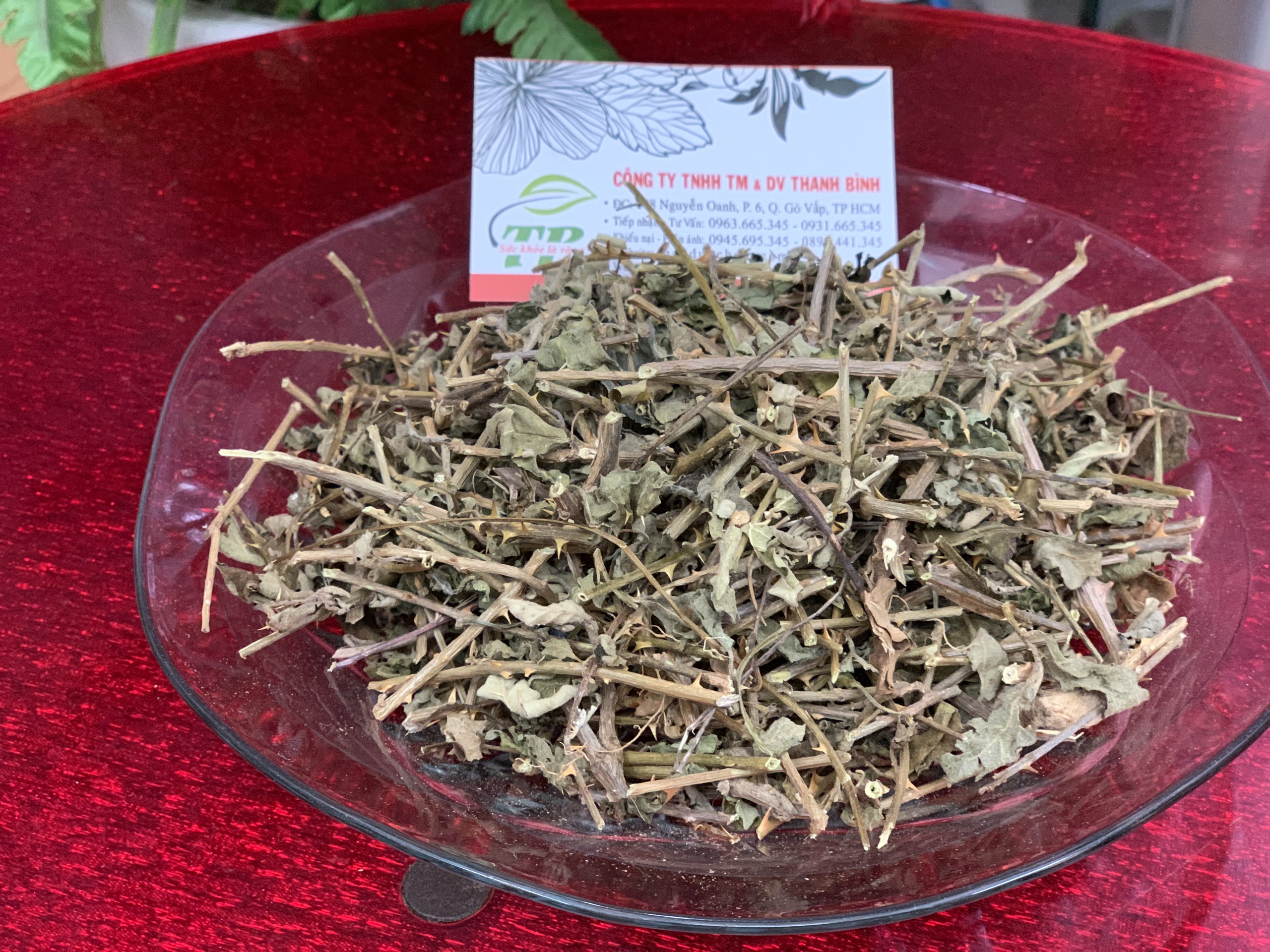 Cà Gai Leo Khô 1Kg Hàng Sạch Thơm - Đông Y Thanh Bình