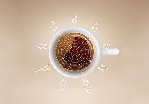 cà phê bột illy 250g (illy Ground Espresso Classico Coffee - Medium Roast)