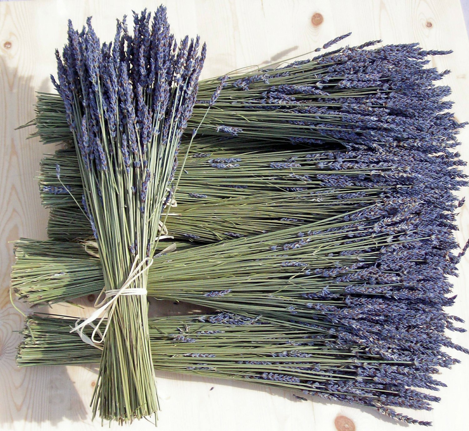 hoa khô - oải hương - lavender ( loại đẹp )