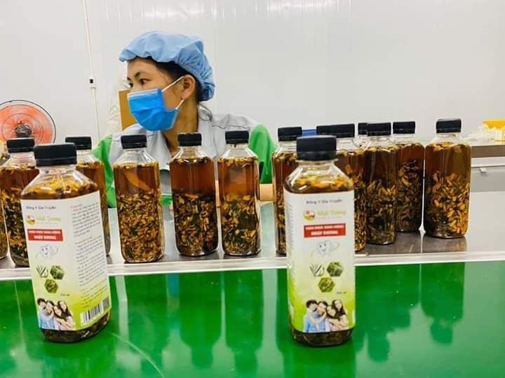 sâu răng nhật dương
