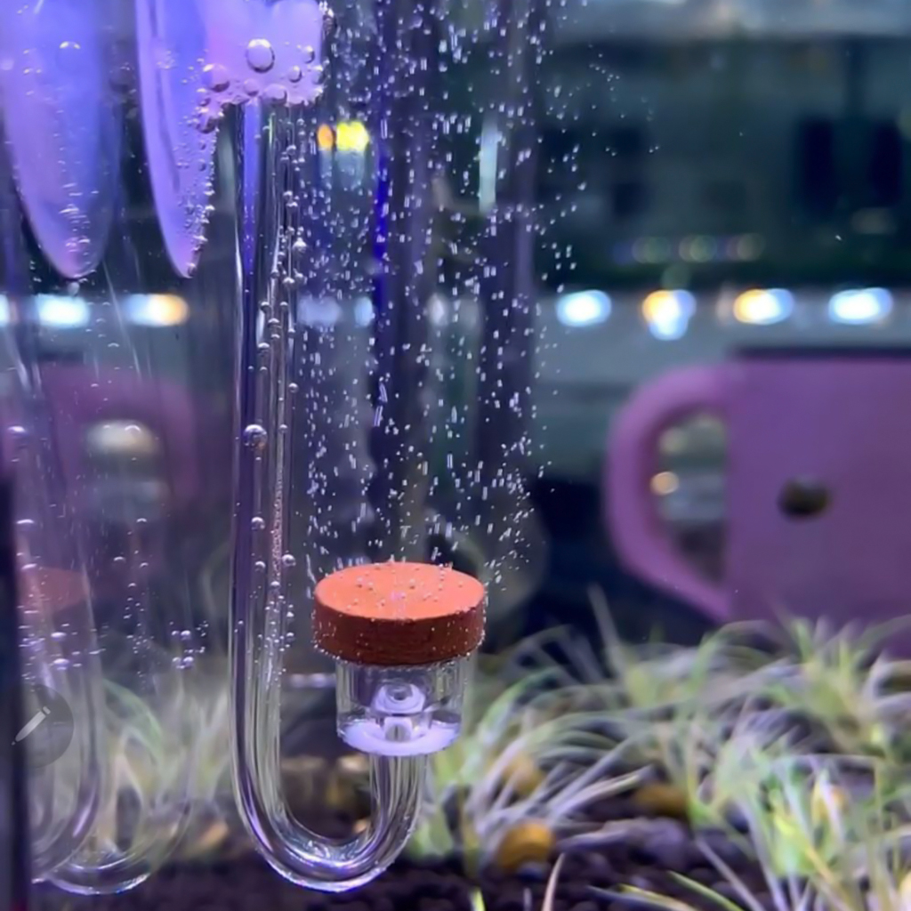 Sủi co2 siêu mịn ebi cho hồ thủy sinh