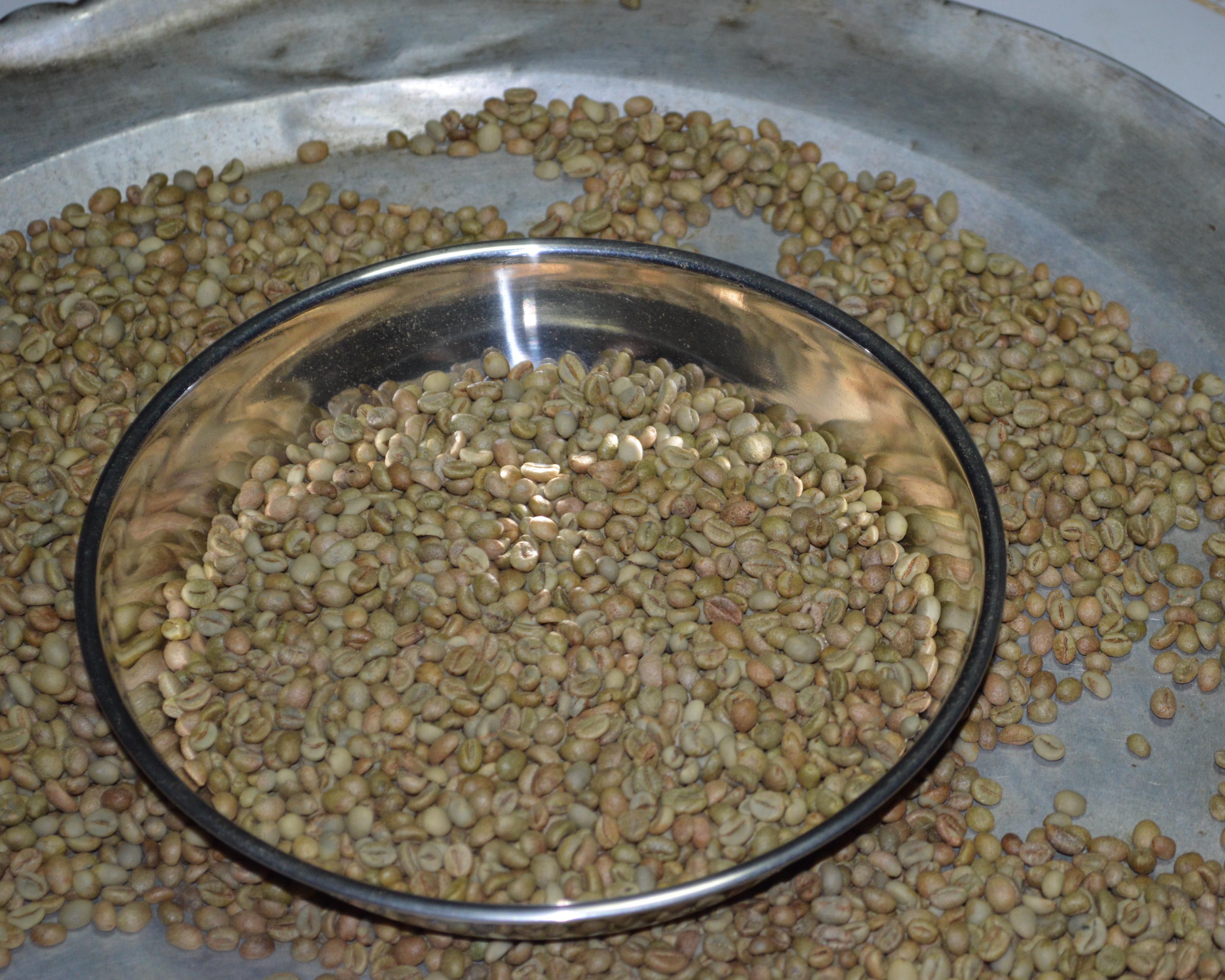 Coffee beans (green bean)