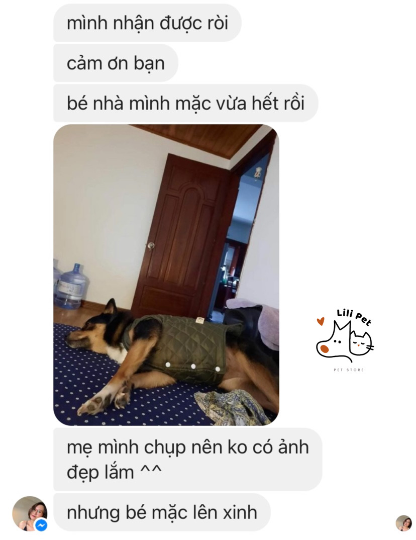 [SIÊU SALE] ÁO PHAO TRẦN BÔNG CHO CHÓ MÈO