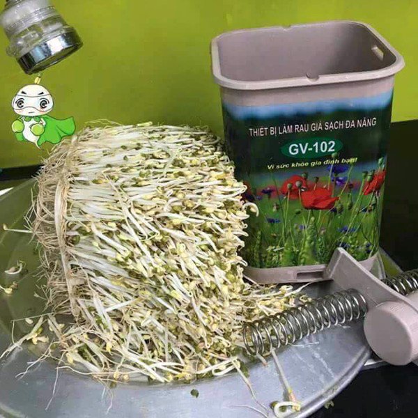 [ Bảo hành 12 tháng] máy làm giá đỗ sạch cao cấp
