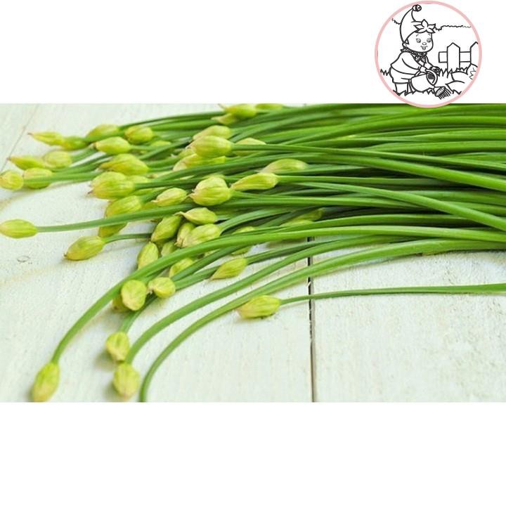 HẠT HẸ ĂN BÔNG - GÓI 1 GRAM