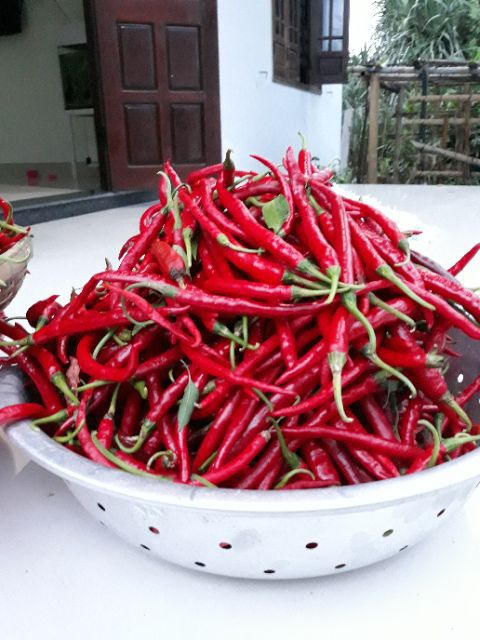 Ớt bột Huế  siêu cay chất lượng 500gr nhà làm