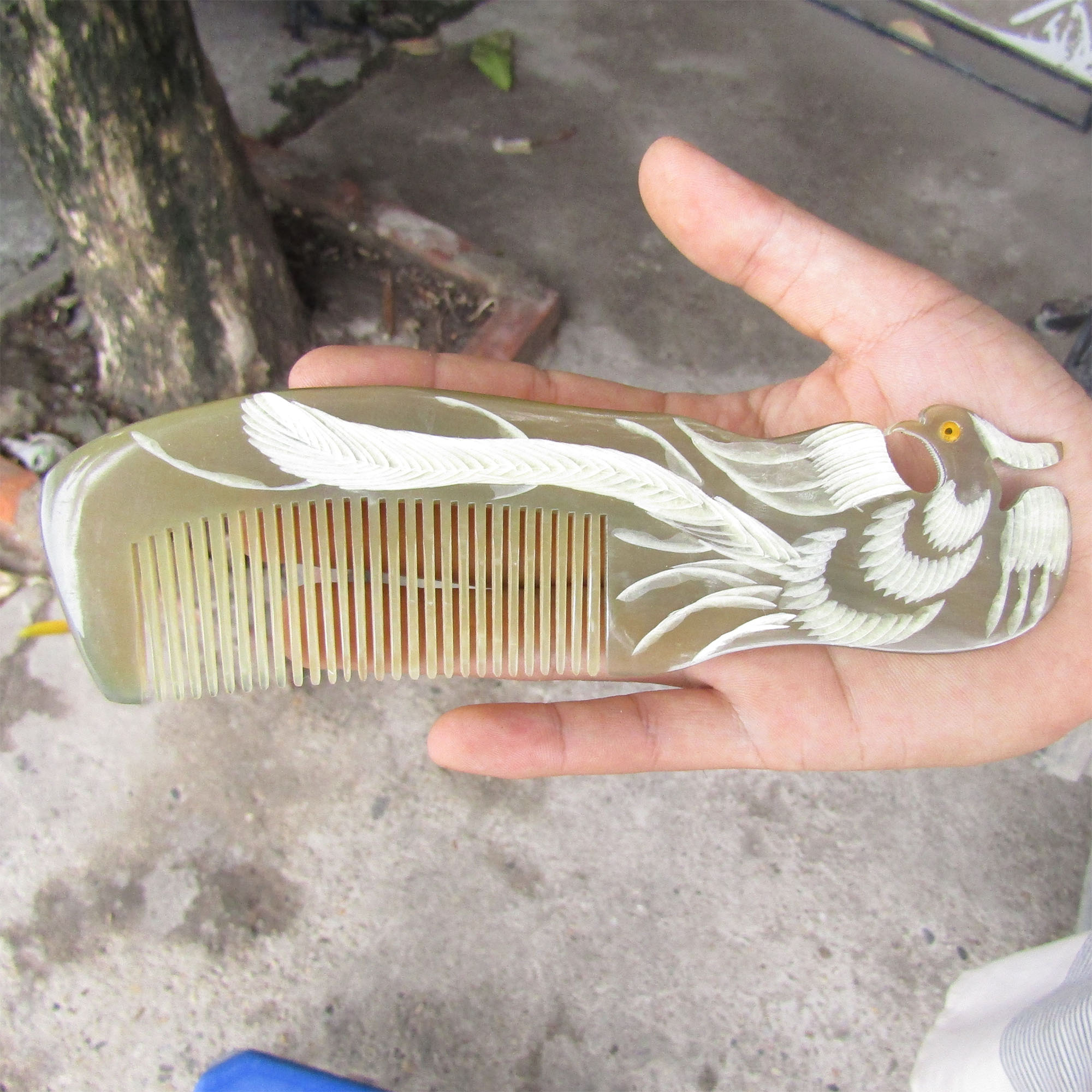 Lược Sừng Bò Châu Phi Phượng Trắng