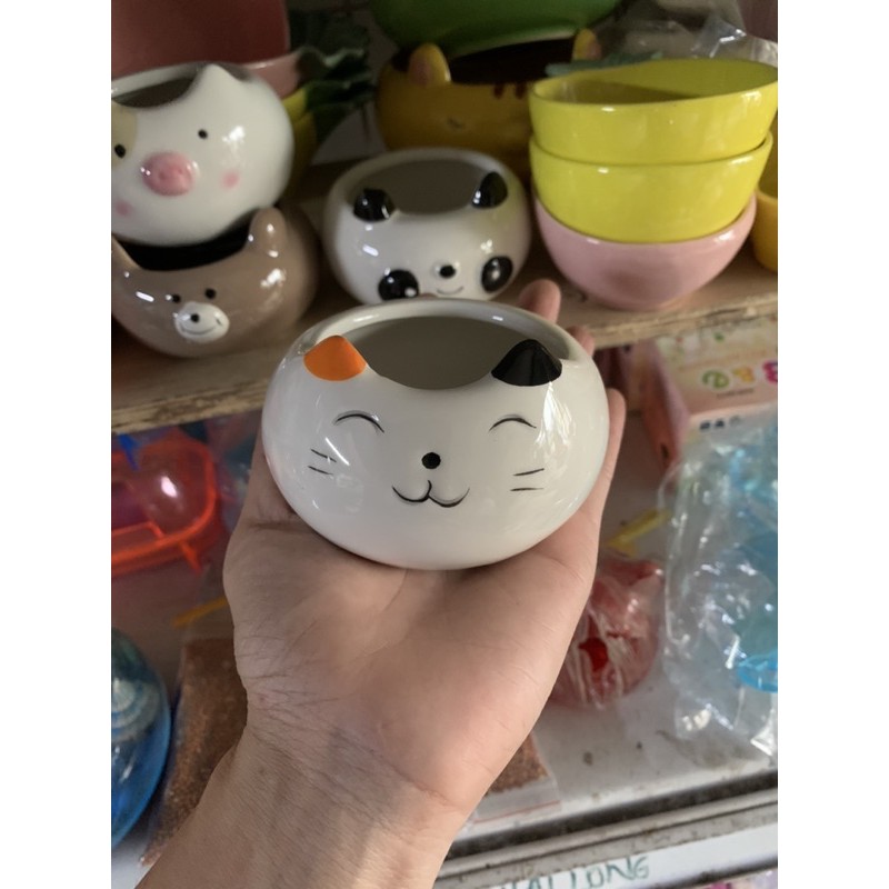 Chén sứ hình thú nhỏ - Gấu trúc