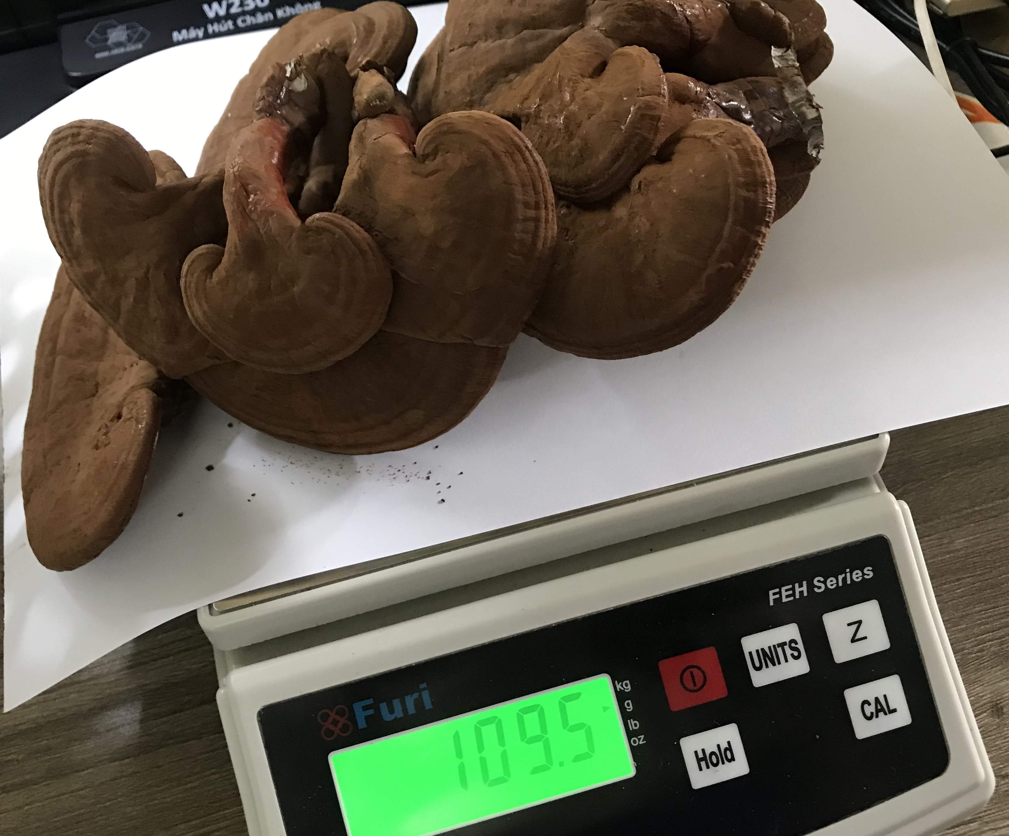 RƯỢU NẤM LINH CHI NHẬT BÌNH 3 LÍT