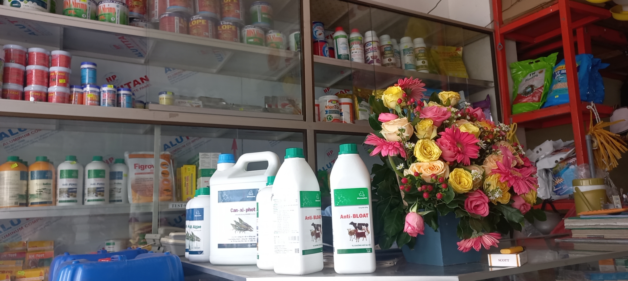 Kill - Algae diệt tảo.  nấm thủy mi. loét vẩy cá. đỏ thân cá