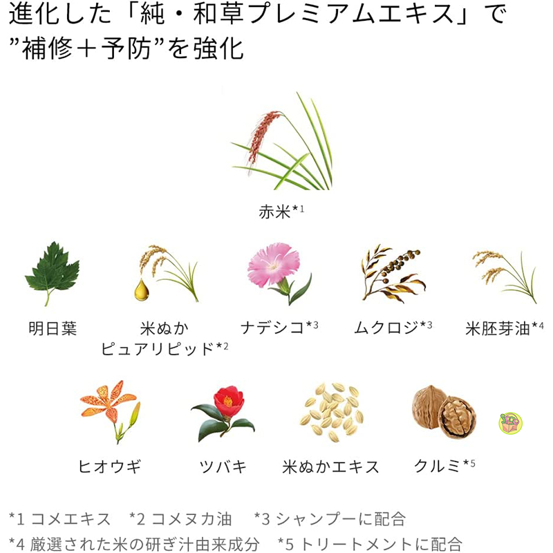 Bộ dầu gội ICHIKAMI - NHẬT NỘI ĐỊA
