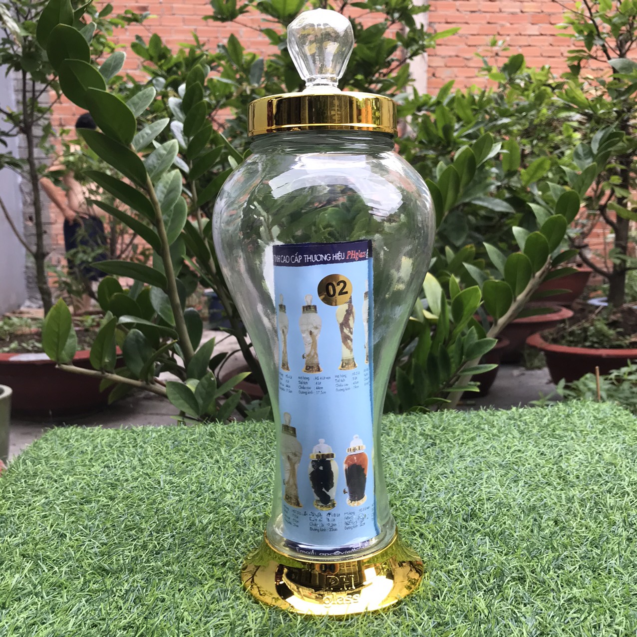 BÌNH NGÂM SÂM THỦY TINH 2 LÍT ( SÂM PHÚ HÒA )