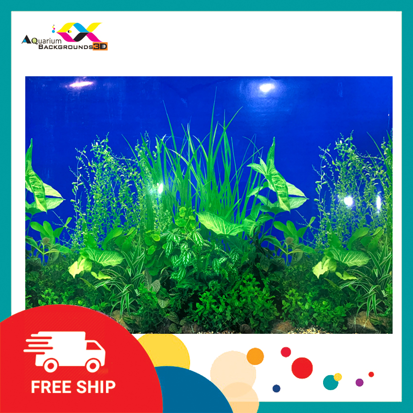 SIÊU NÉT  - Aquarium shop - TRANH BỂ CÁ 3D4K 02 - 40 x 60 cm - - SỐ LƯỢNG CÓ HẠN - SẢN PHẨM CÔNG NGHỆ CAO.