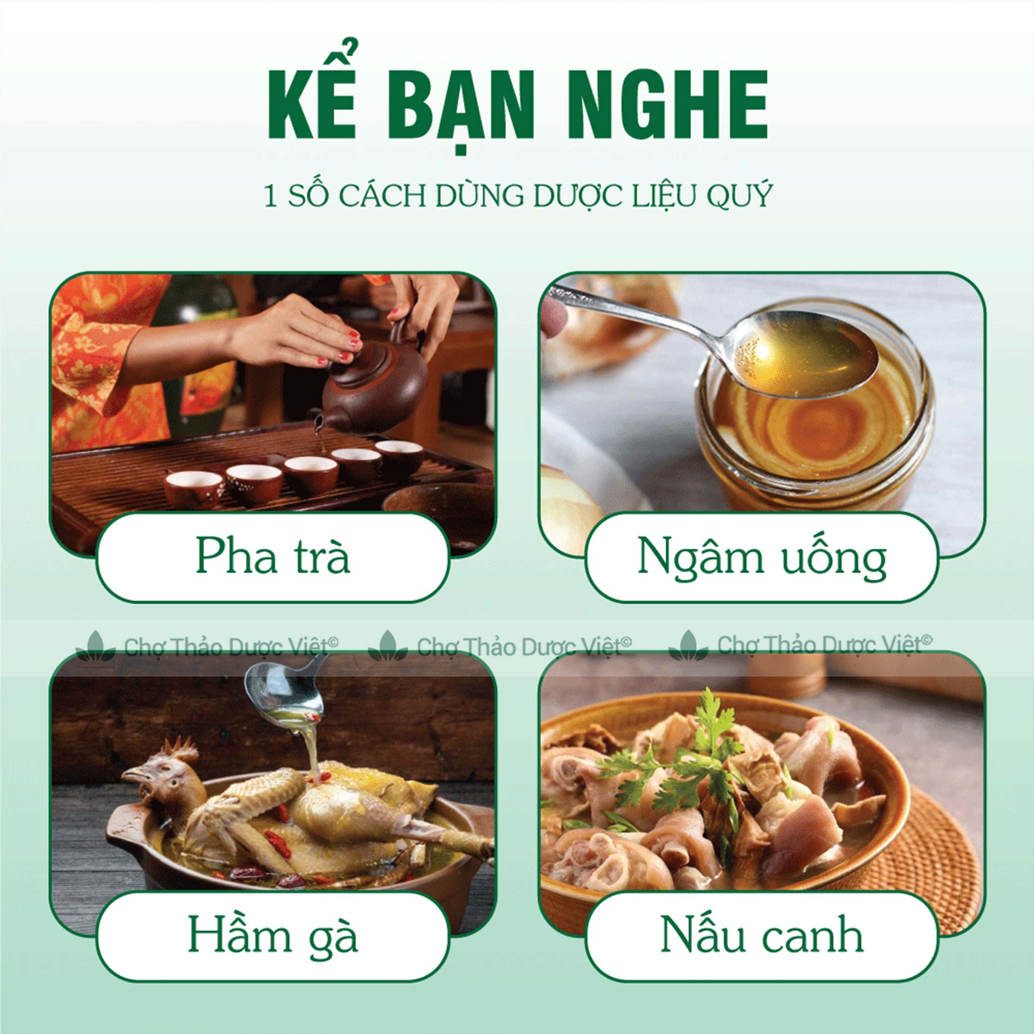 50g Xuyên Bối Mẫu (Bối Mẫu Tứ Xuyên)