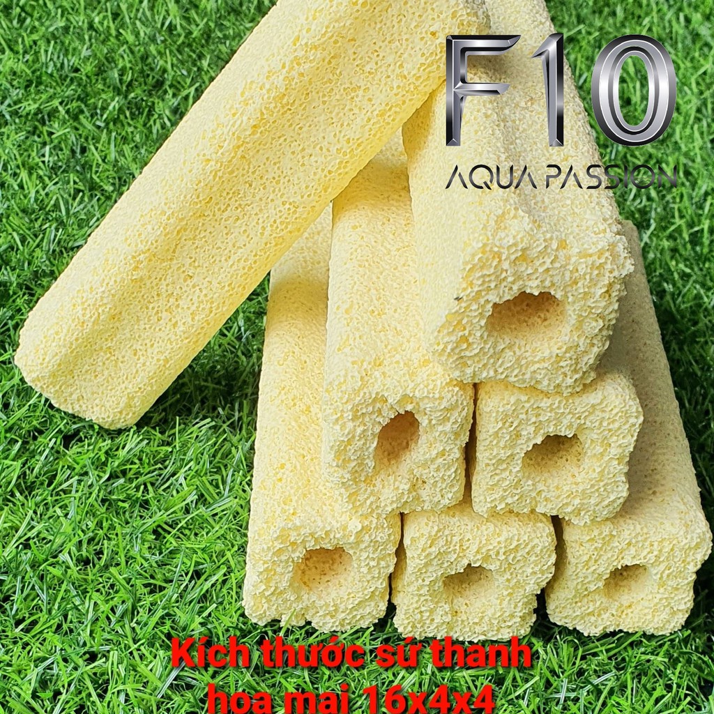 Sứ lọc Sứ thanh Sứ thanh hoa mai kích thước 16x4x4 Sứ thanh hoa mai vàng vật liệu lọc hồ cá