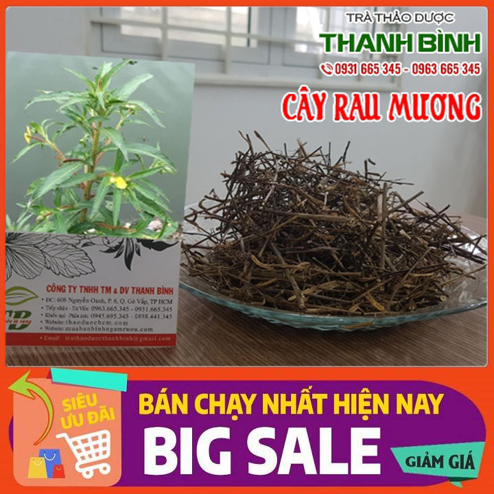 Cây Rau Mương Khô 500G Loại Đặc Biệt- Đông Y Thanh Bình