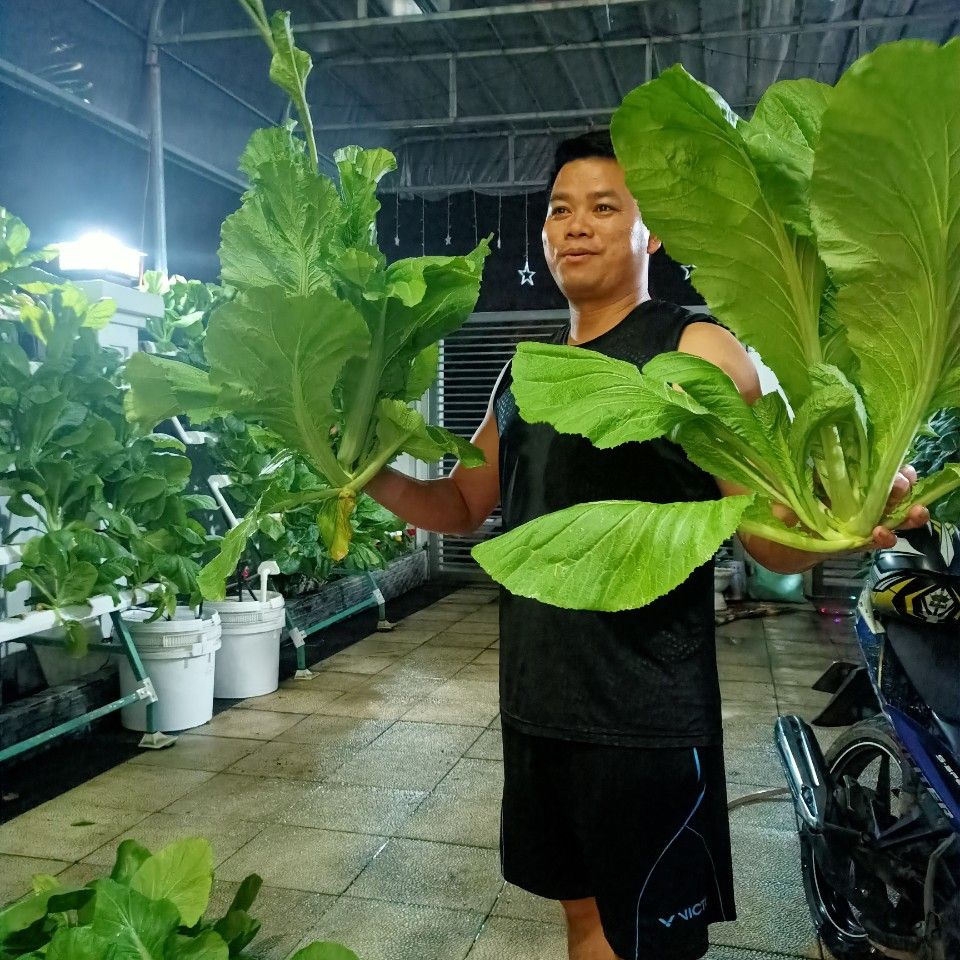 [COMBO GIÁ HỜI] Combo dụng cụ trồng rau thủy canh 6 món