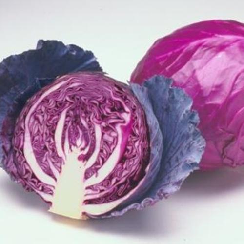 Hạt Giống Rau Cải Bắp Tím. Túi 0,2 Gram. Giá Khuyến Mại - Nhiều Dinh Dưỡng.