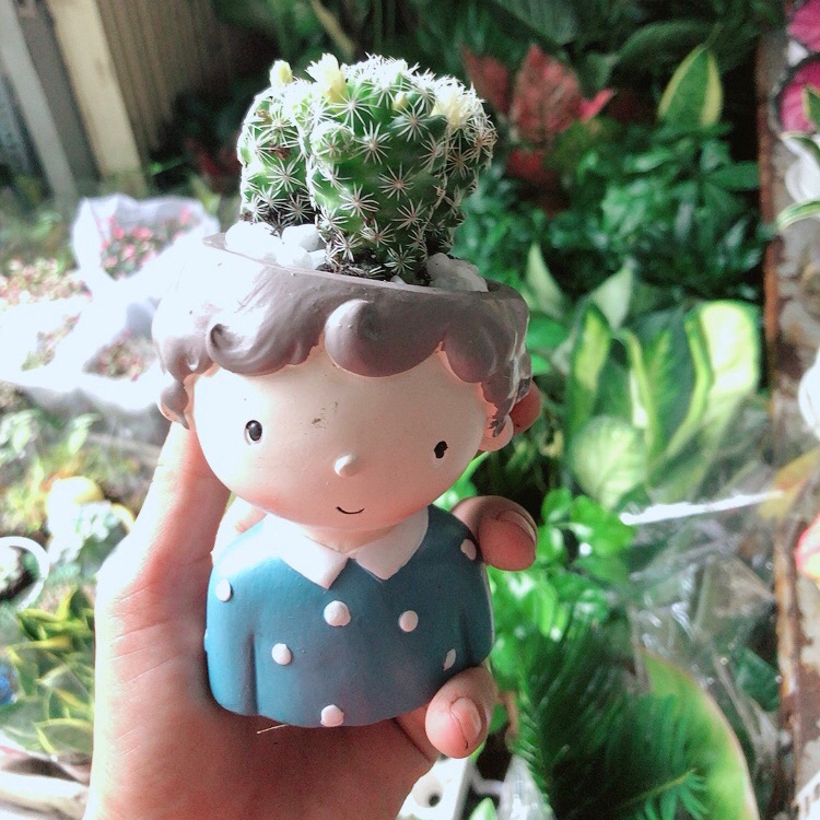Chậu Xương Rồng Trứng Chim