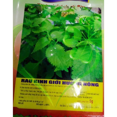 Hạt giống rau kinh giới - gói 1g