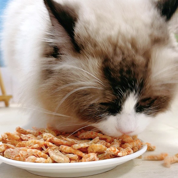 CÁ SẤY, TÔM SẤY KHÔ SNACK CHO MÈO GÓI 80GR