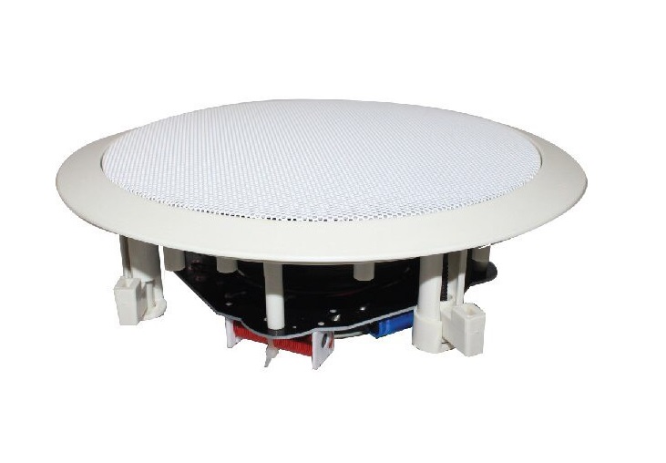 Loa âm tường Hi-Fi Ceiling Speaker R-916