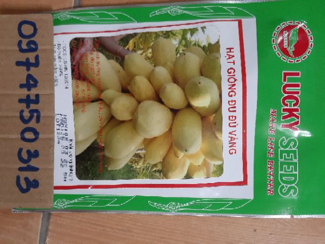 Hạt giống đu đủ vàng lùn gói 5H