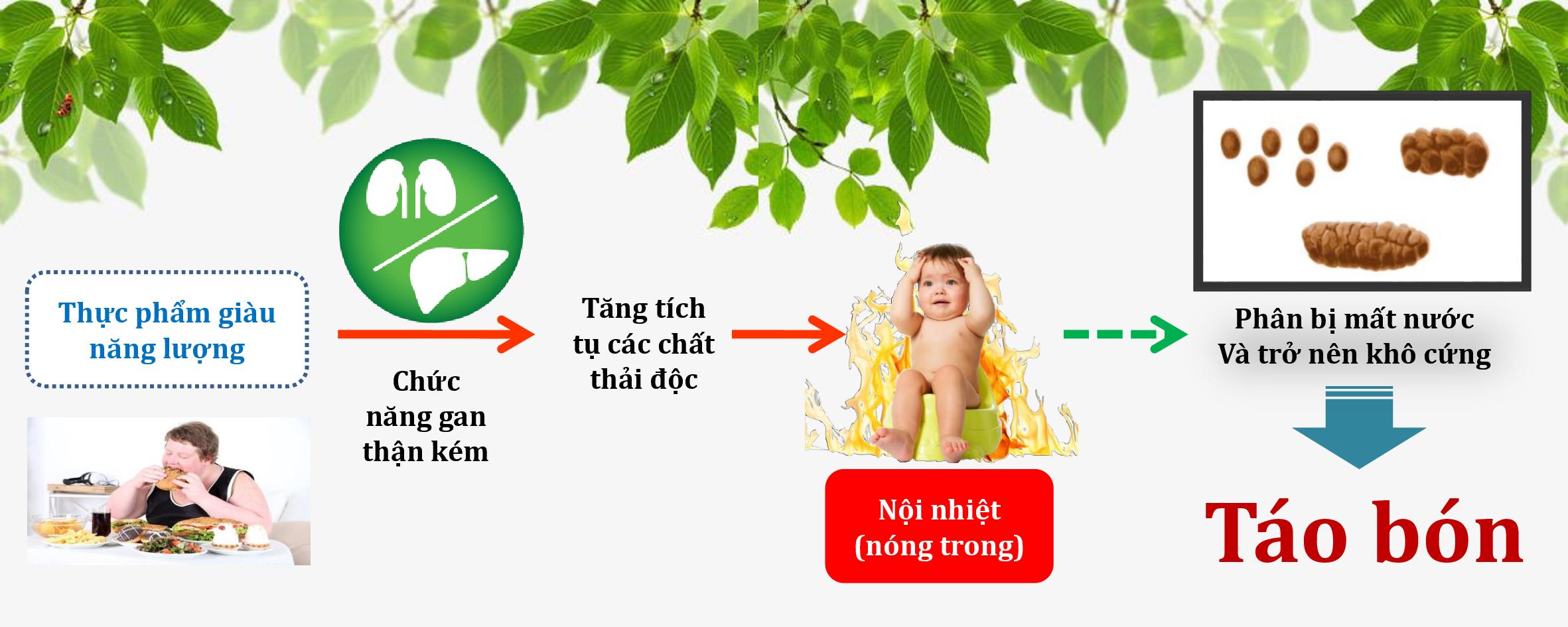 SEADOLAC GIẢM TÁO BÓN CHO TRẺ EM VÀ NGƯỜI LỚN hộp 30 gói/2g
