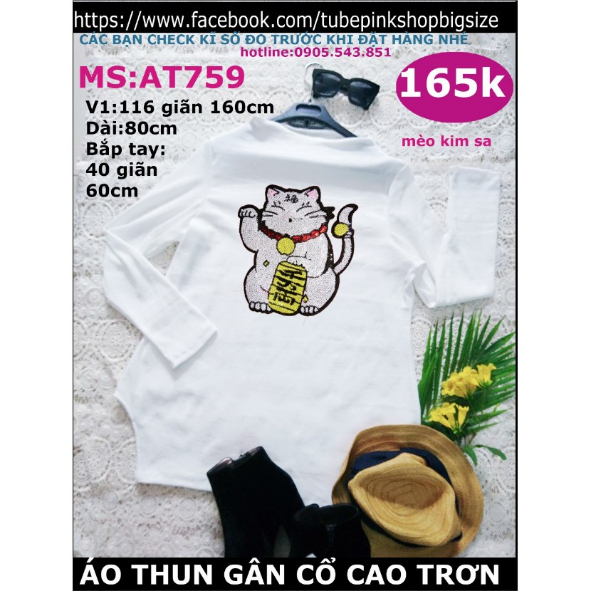 Áo thun mèo thêu kim sa