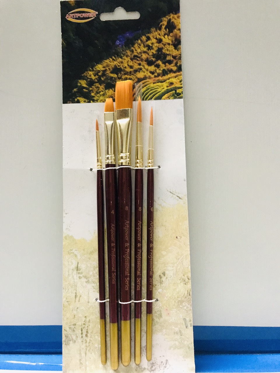 BỘ CỌ VẼ CƠ BẢN SET 5 CÂY (MA 121)