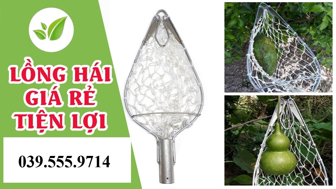 DỤNG CỤ LỒNG ( VỢT) HÁI TRÁI TRÊN CAO
