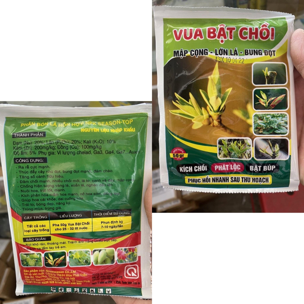 Vua bật chồi chính hãng kích chồi phát lộc bật búp