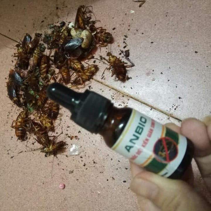 COMBO 3 LỌ Thuốc Diệt Kiến - Diệt Gián Sinh Học Anbio