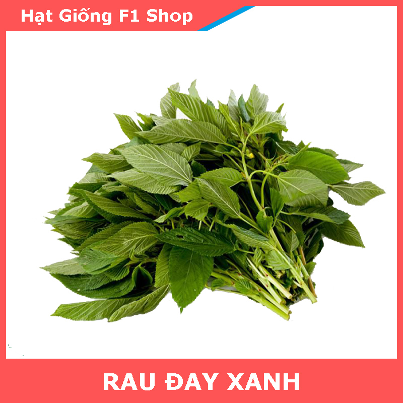 Hạt Giống Rau Đay Xanh Ngọt Thơm
