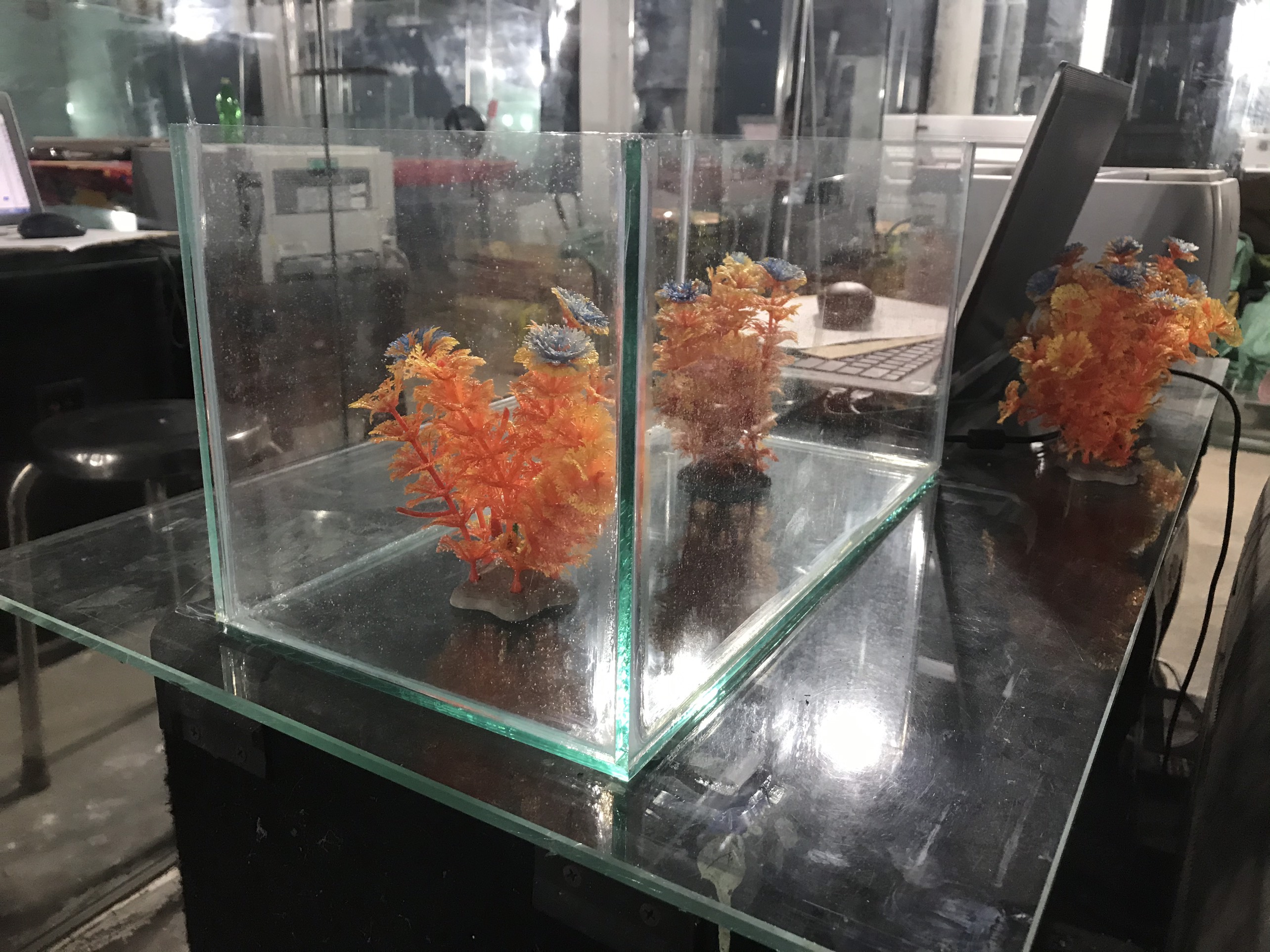 Hồ cá cảnh  40x20x20 kính 5mini chuẩn