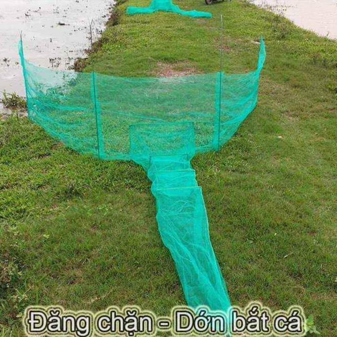 đăng ,dớn bắt cá