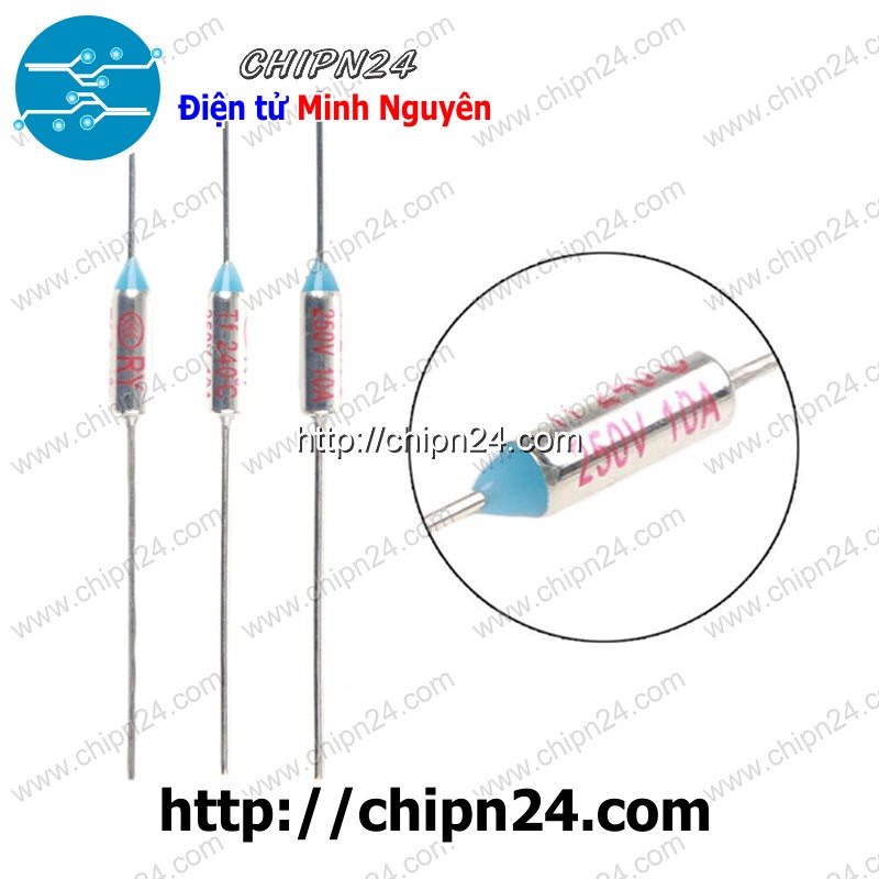 Cầu chì nhiệt ry 10a 250v -
