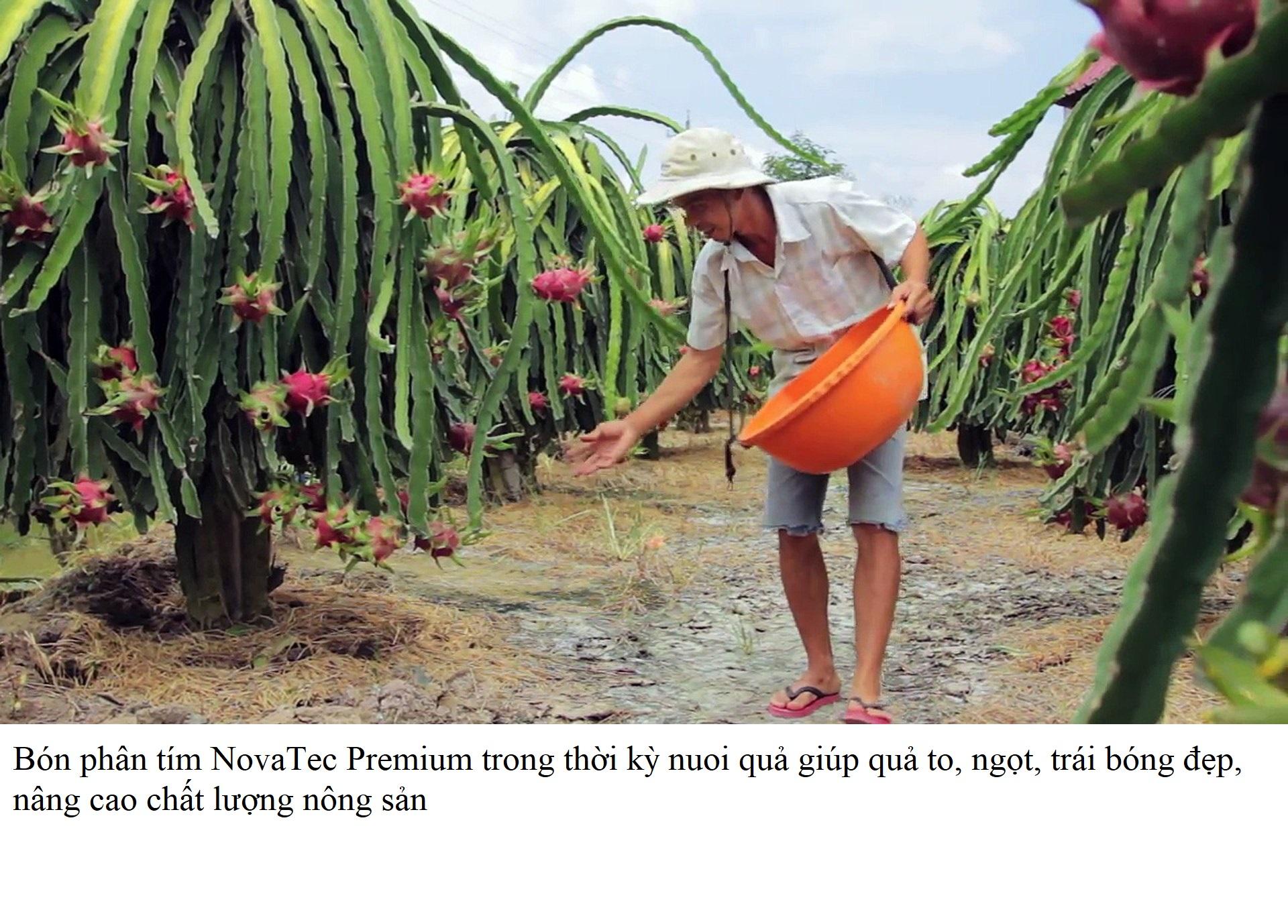Phân bón cao cấp NK NovaTec Premium 1kg