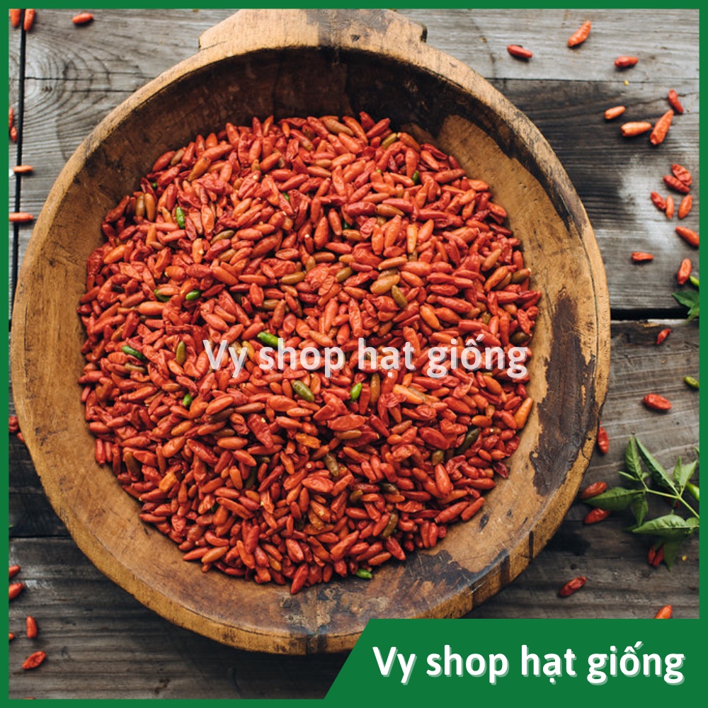 Hạt giống ớt thóc siêu cay (ớt mắt chim) Thái Lan gói 120 hạt