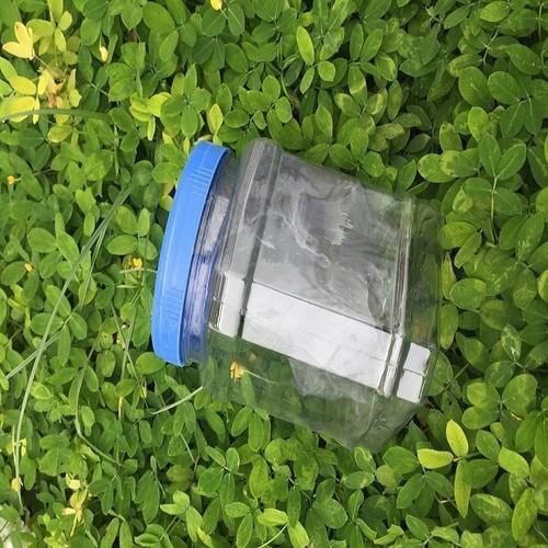 keo bẫy chim sẻ siêu dính hàng cao cấp 3 lạng ,5 lạng,