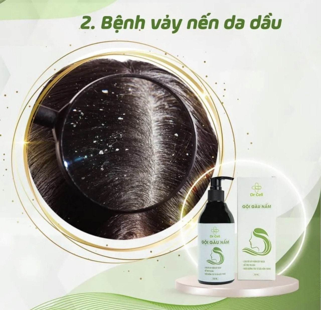Dầu Gọi Nấm Dr Cell