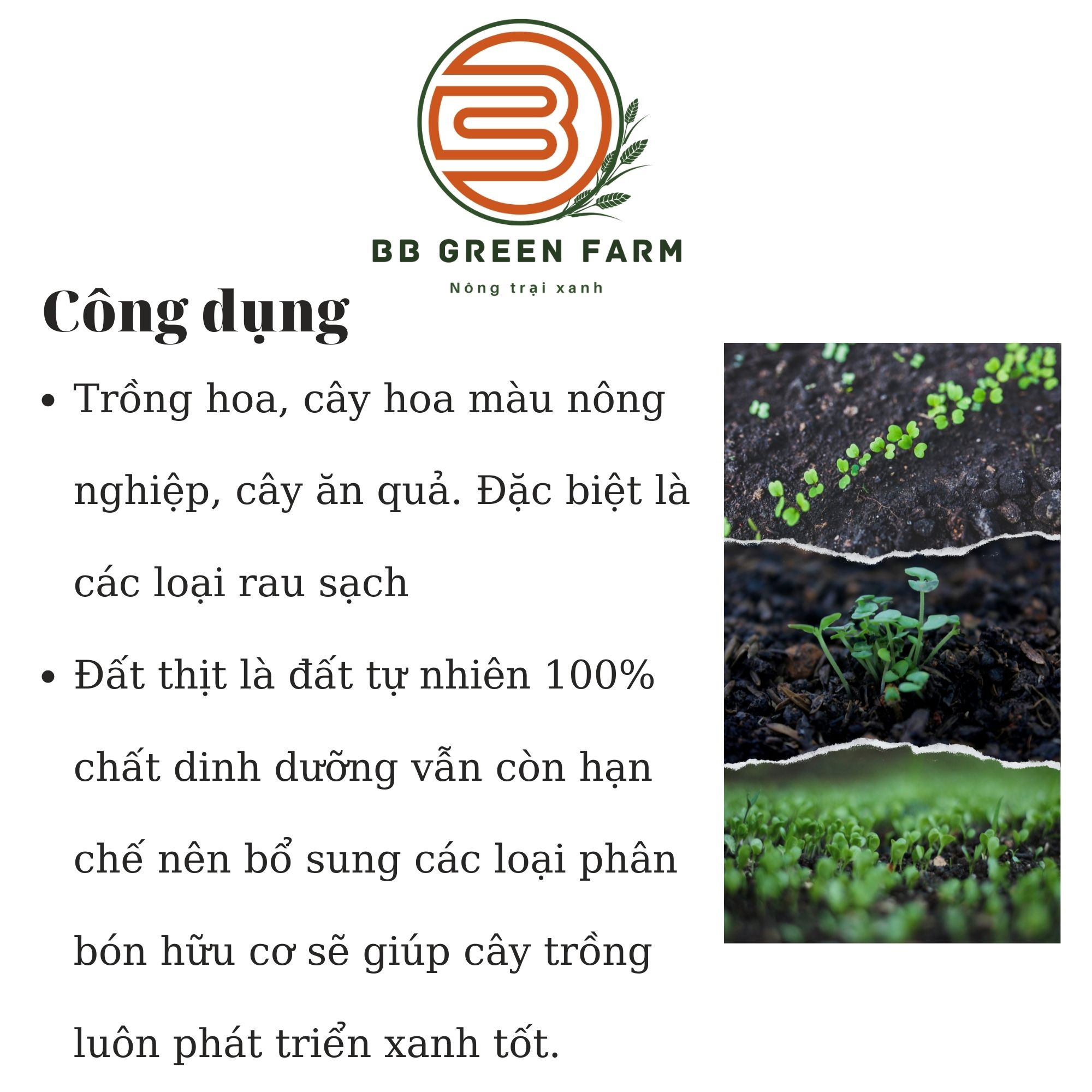 Đất thịt tự nhiên 100%
