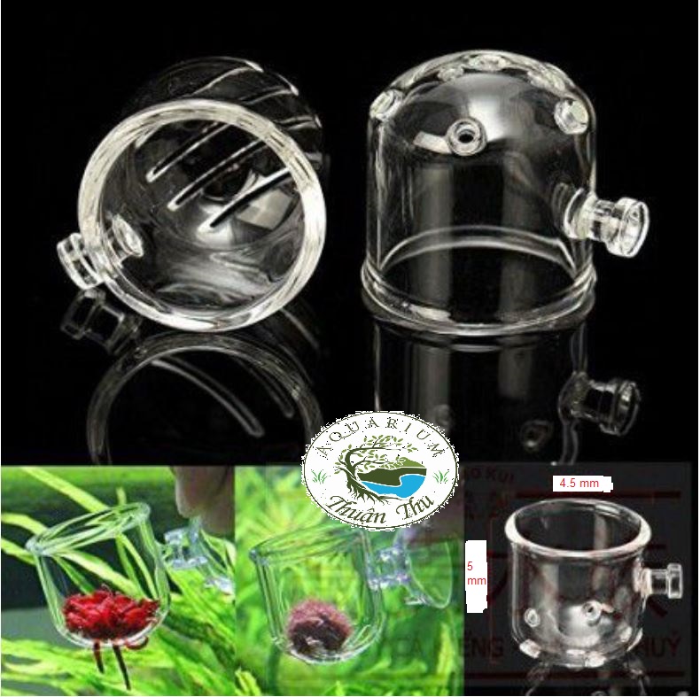 Cốc đựng giun cho cá ăn- cốc đựng trùn chỉ thủy tinh loại dày siêu đẹp