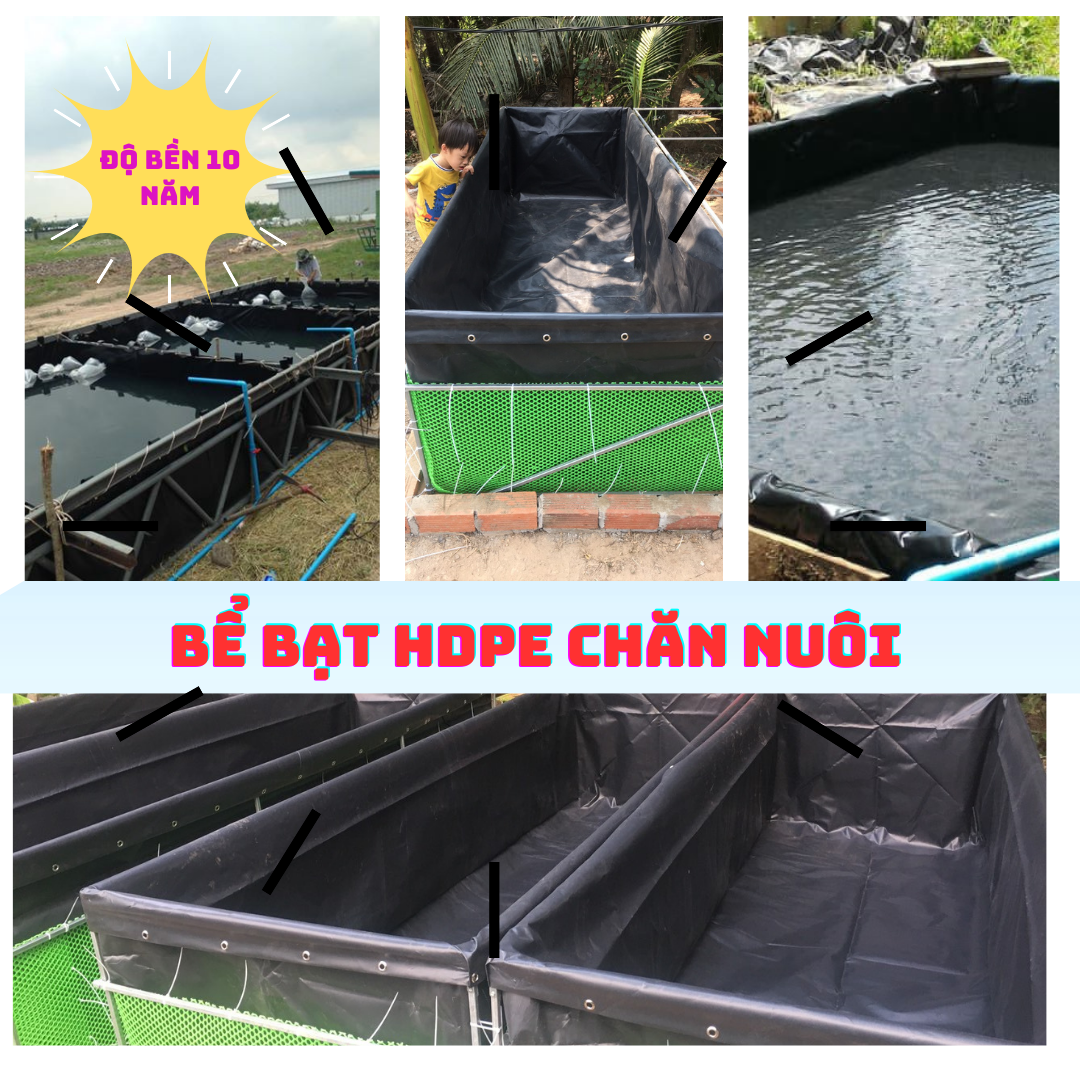BỂ BẠT, BỂ BẠT HDPE CHỐNG THẤM NUÔI ỐC, LƯƠN, CUA, CÁ, ẾCH.