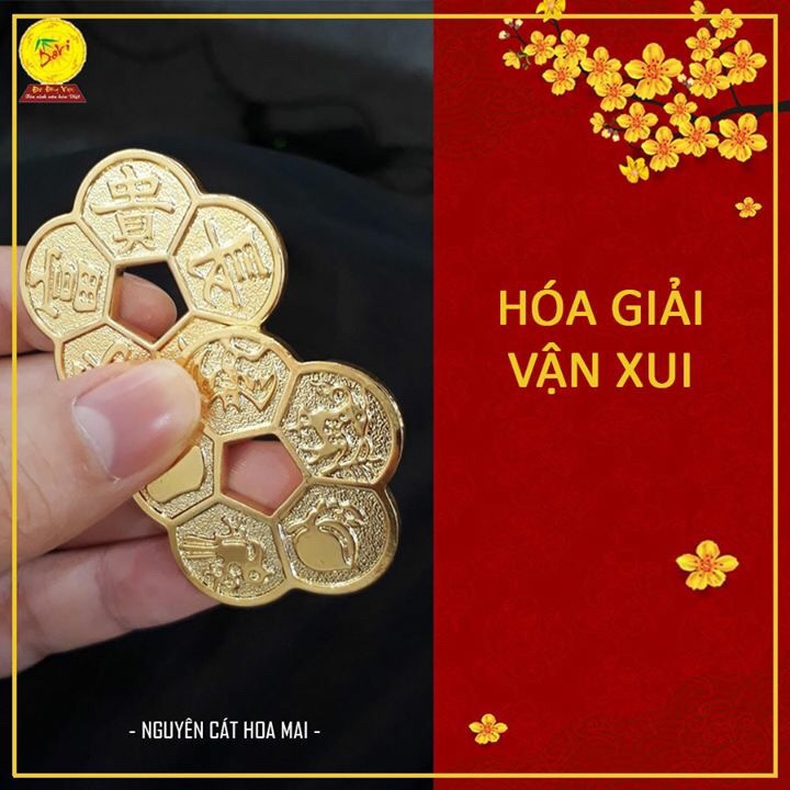 Đồng tiền hoa mai mạ vàng 24k