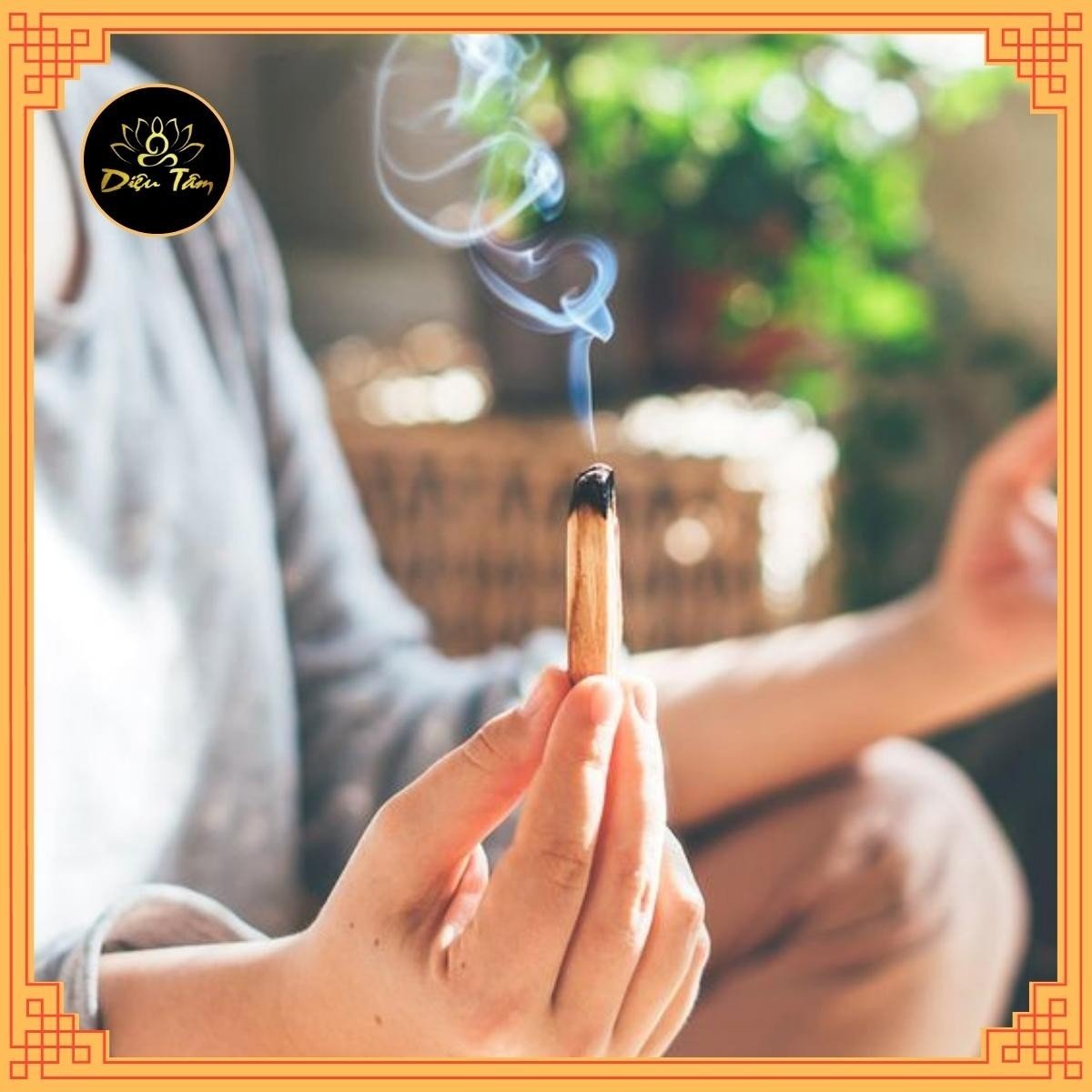 Gỗ Trắc Xanh Palo Santo đốt thơm nhà xô thơm thanh tẩy nhà cửa thảo mộc xông nhà thiền định, đem lại may mắn