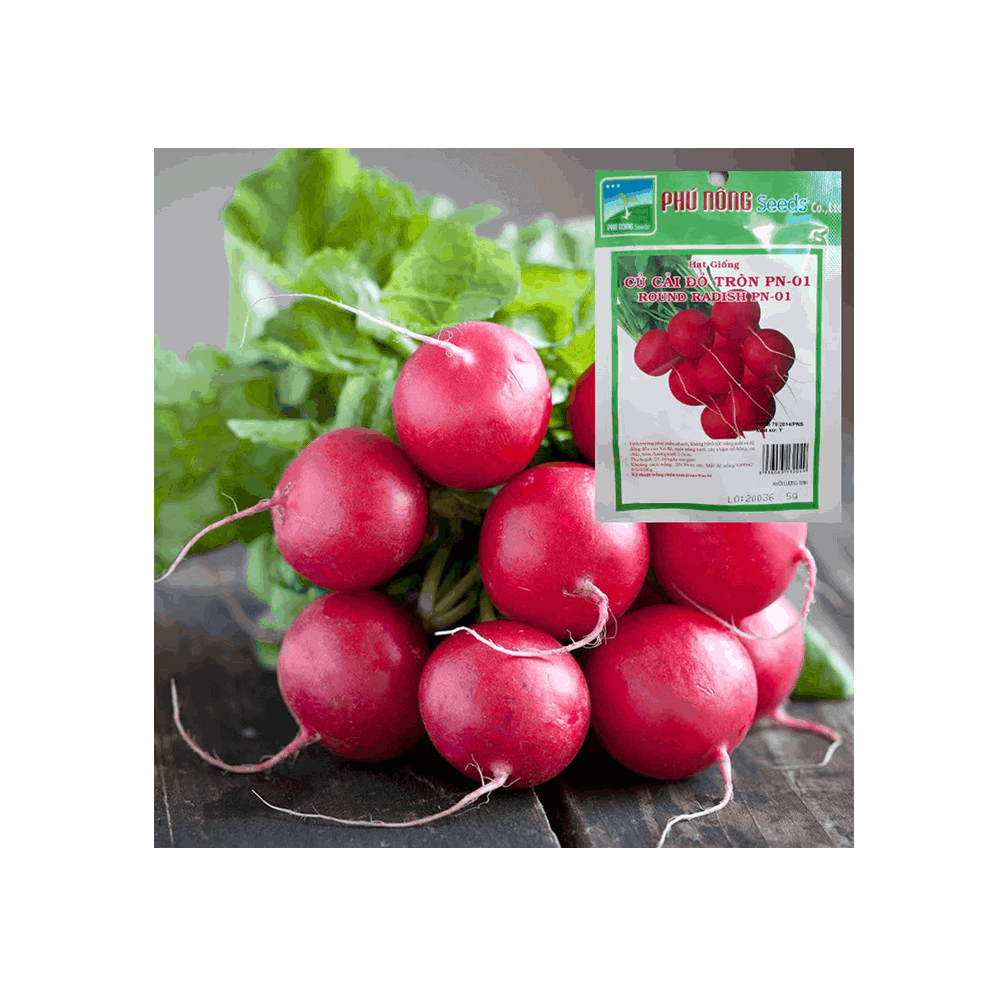Hạt giống củ cải tròn sen vàng gói 10gram