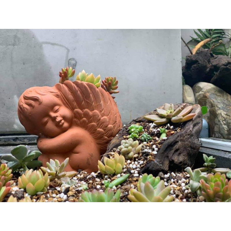 Chậu đất nung hình thiên thần nhỏ
