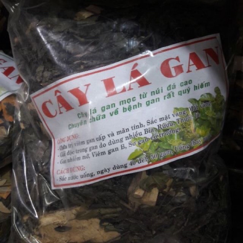 500Gr Cây Lá Mát Gan chuẩn xịn